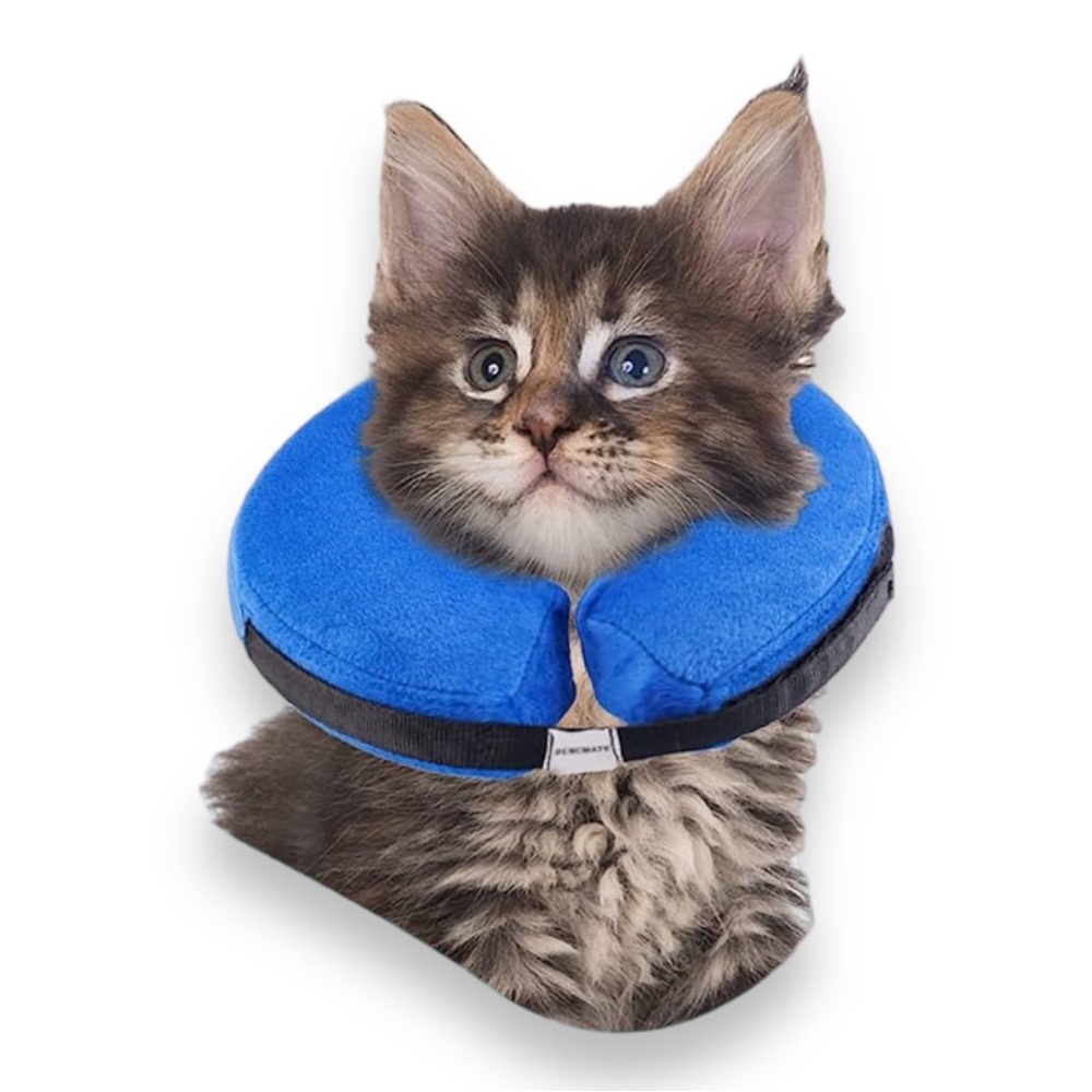NEW BENCMATE Protective Inflatable Cone Collar for Dogs & Cats Pet Recovery XS